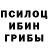 Псилоцибиновые грибы Psilocybe Dharmaraj Rabha