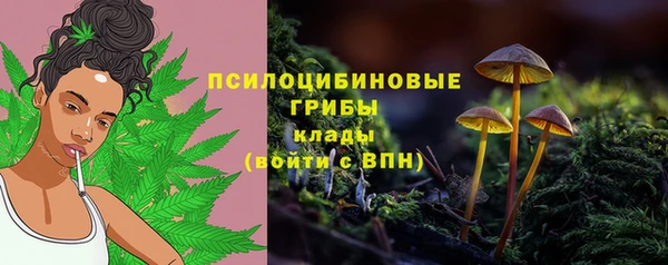 прущая мука Лагань